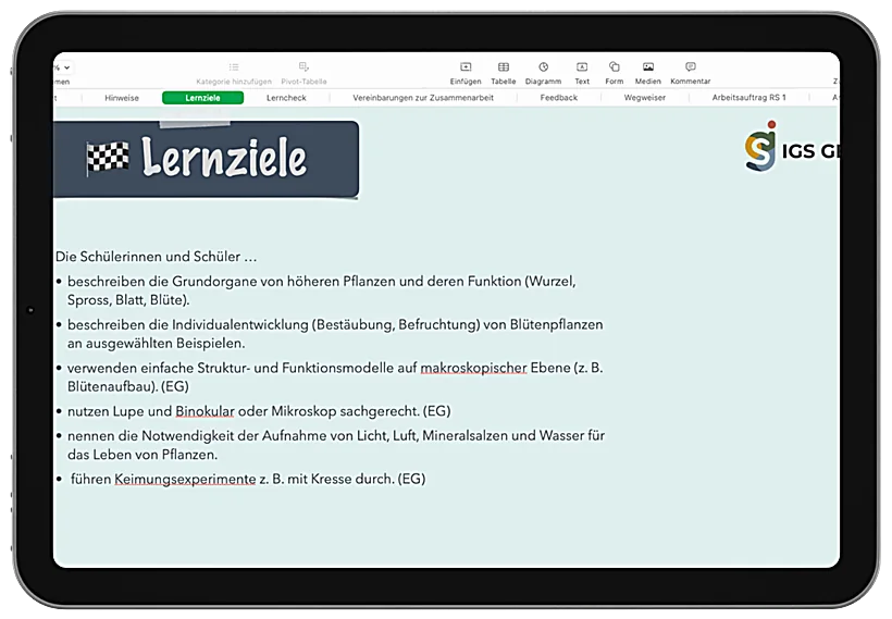 Lernpfad Pflanzen – Beispielseite 2