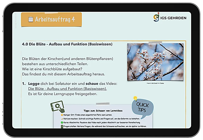 Lernpfad Pflanzen – Beispielseite 6